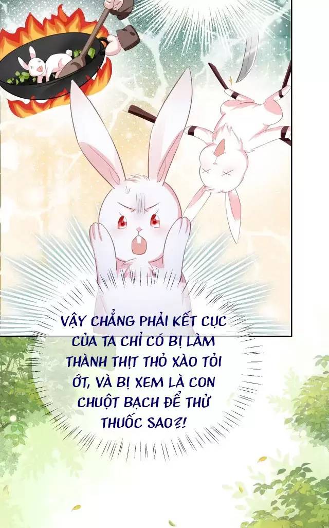 NAM CHỦ HẮC HÓA NUÔI DƯỠNG THỎ ONLINE: Chapter 9