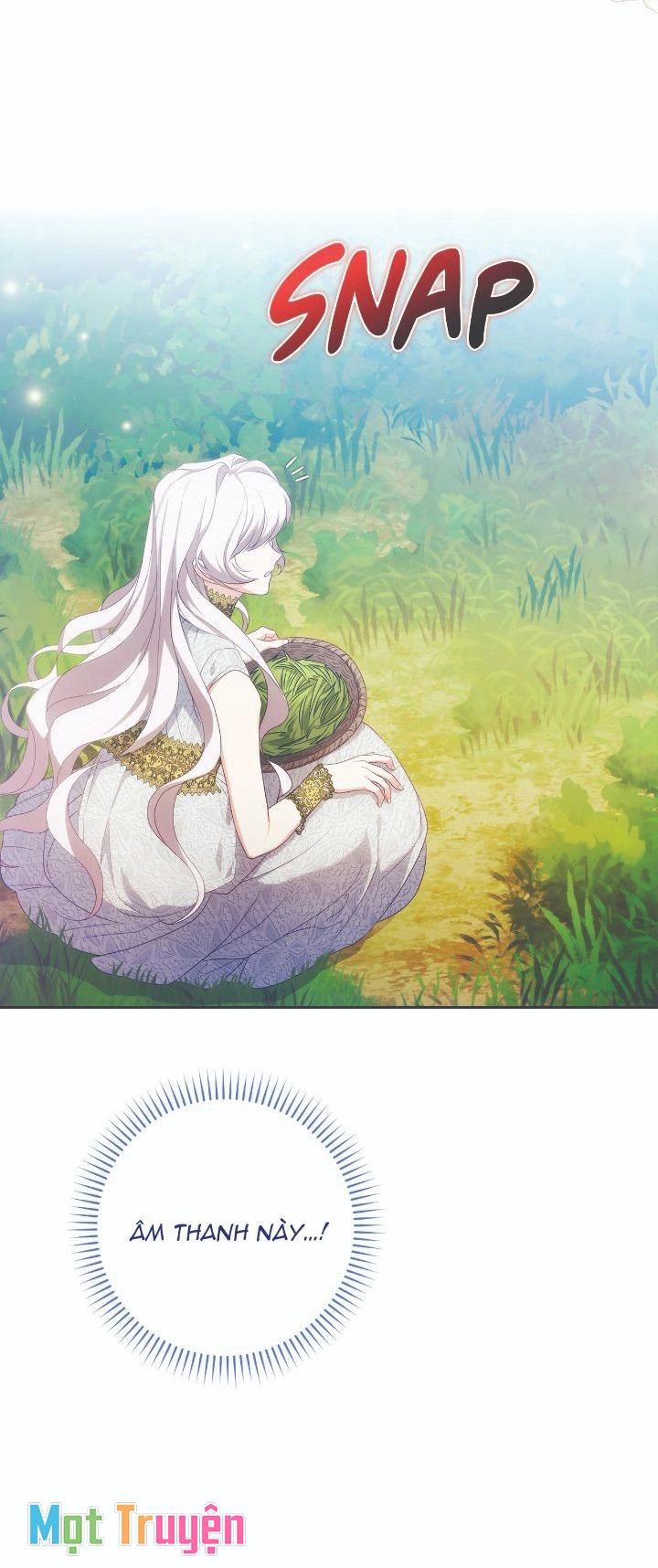 Nàng Công Chúa Trong Chuồng Gà: Chapter 1