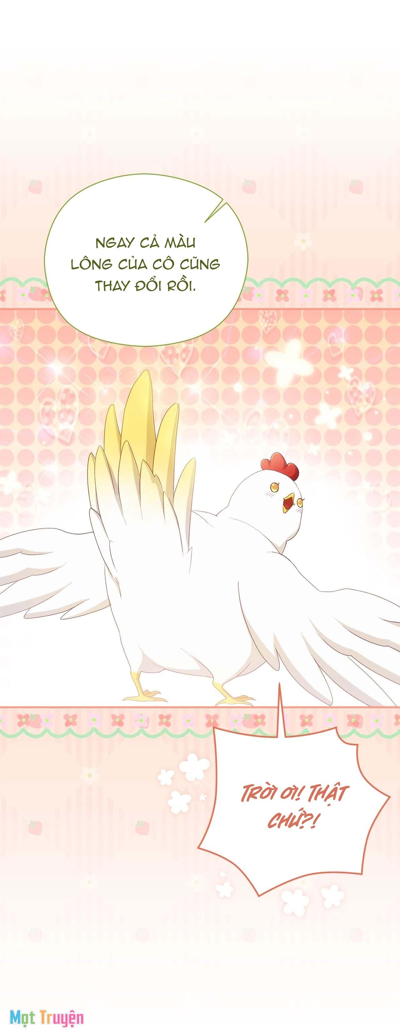 Nàng Công Chúa Trong Chuồng Gà: Chapter 5