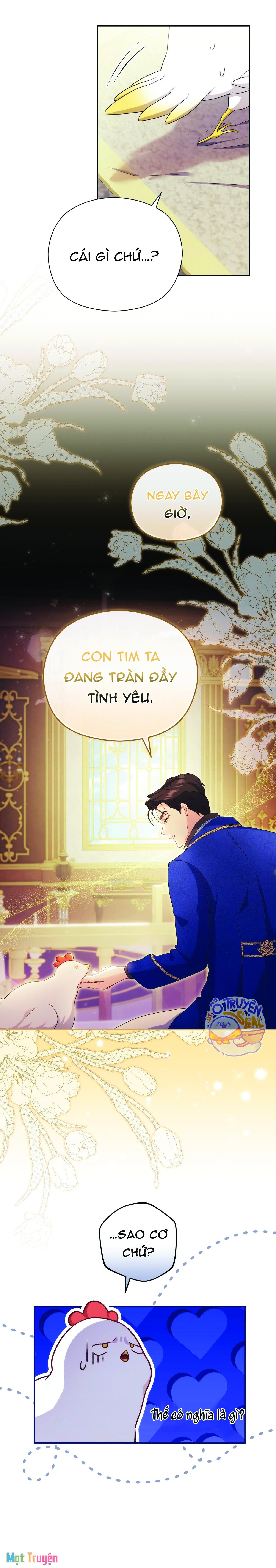 Nàng Công Chúa Trong Chuồng Gà: Chapter 7