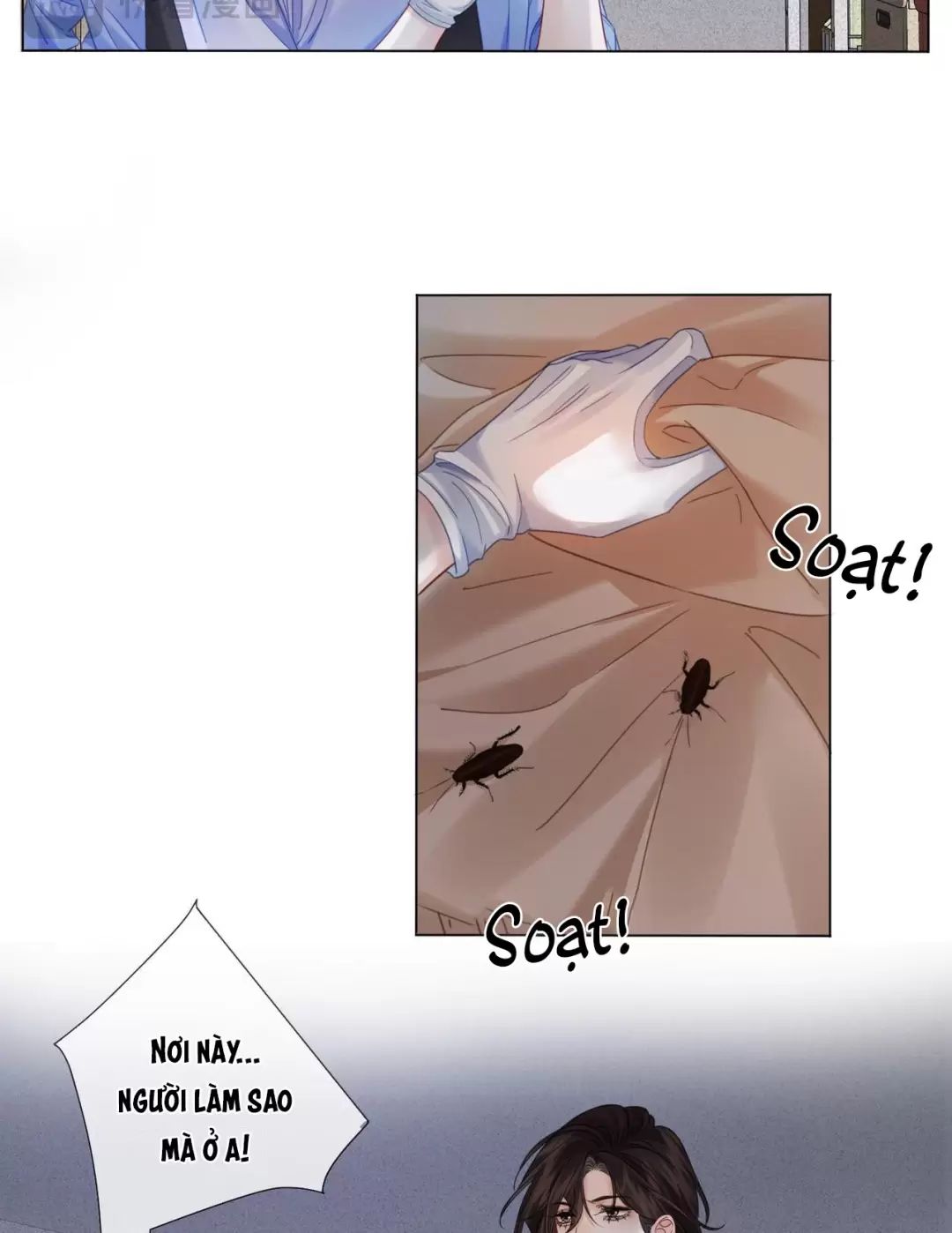 Nàng Pháp Y Thân Yêu Của Tôi: Chapter 48
