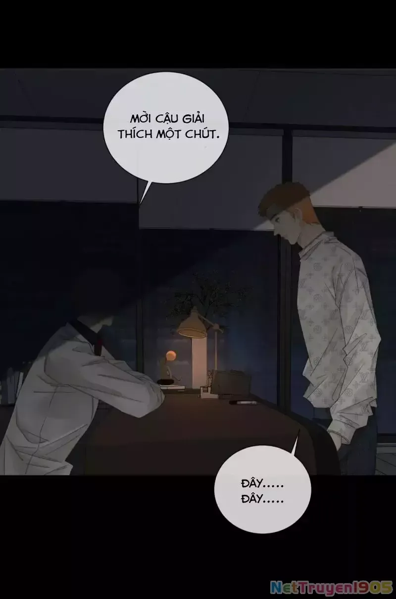 Nàng Pháp Y Thân Yêu Của Tôi: Chapter 95