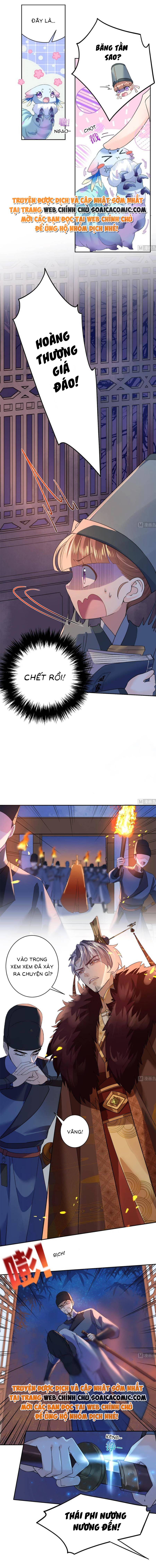Này đệ đừng cầm đao nữa: Chapter 7