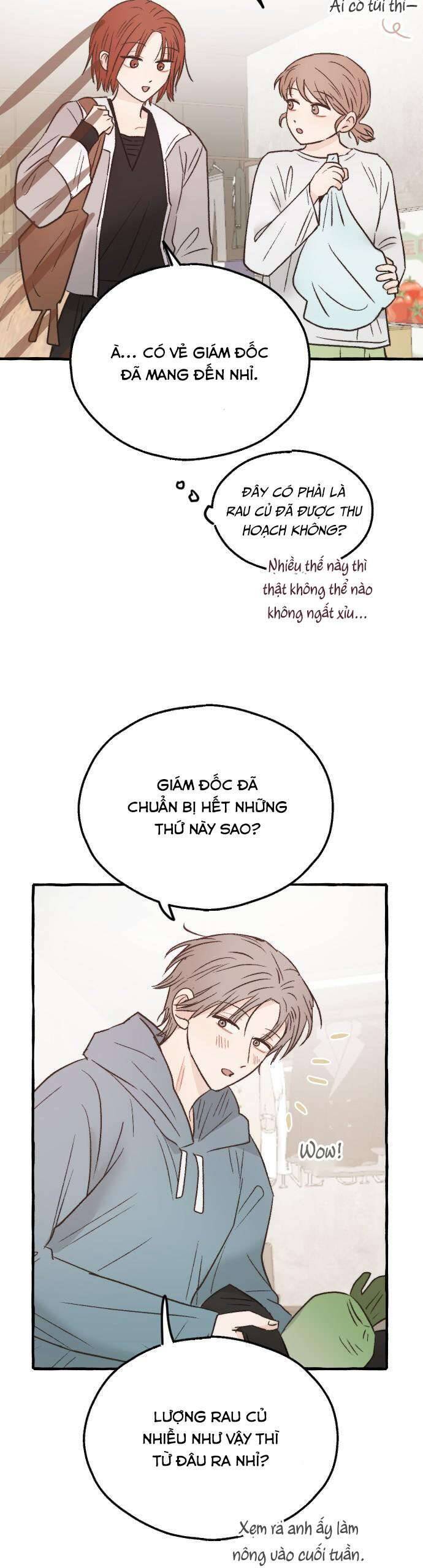 Ngài Giám Đốc Giữa Rừng Sâu: Chapter 22