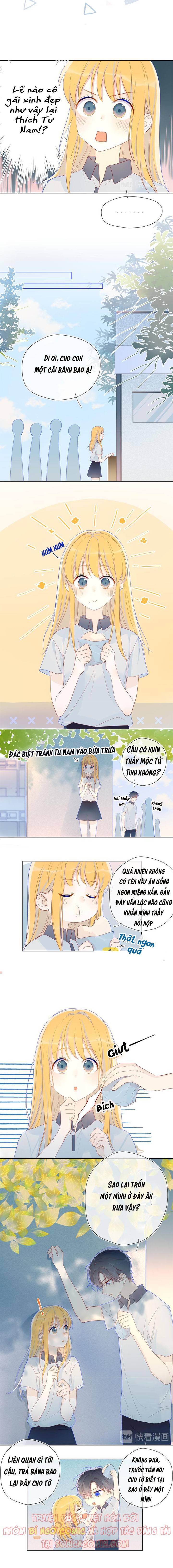 NGÔI SAO DÀNH CHO TÔI: Chapter 10