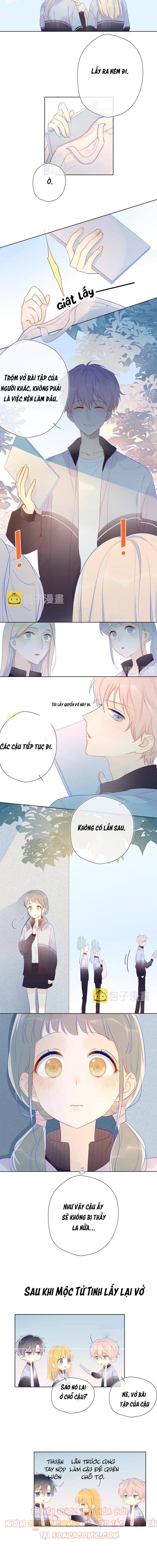 NGÔI SAO DÀNH CHO TÔI: Chapter 12