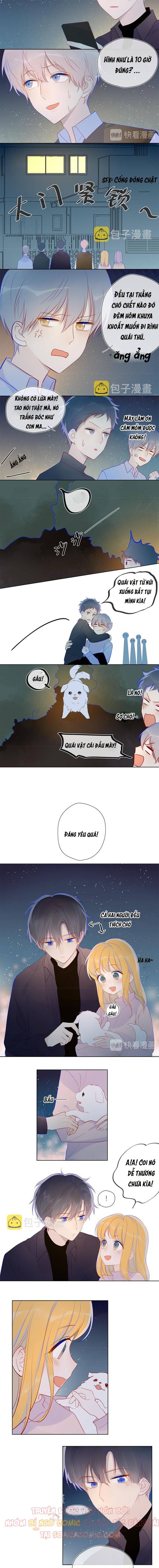 NGÔI SAO DÀNH CHO TÔI: Chapter 18