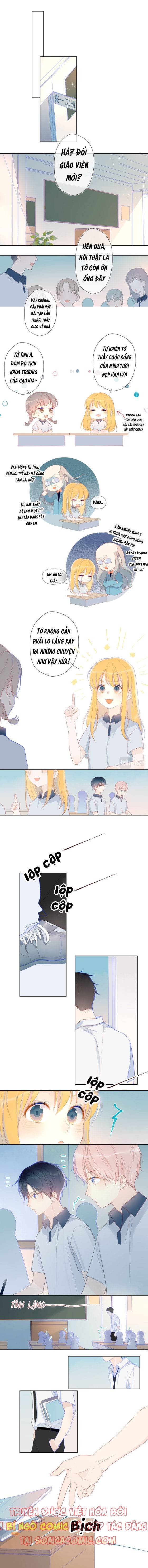 NGÔI SAO DÀNH CHO TÔI: Chapter 2