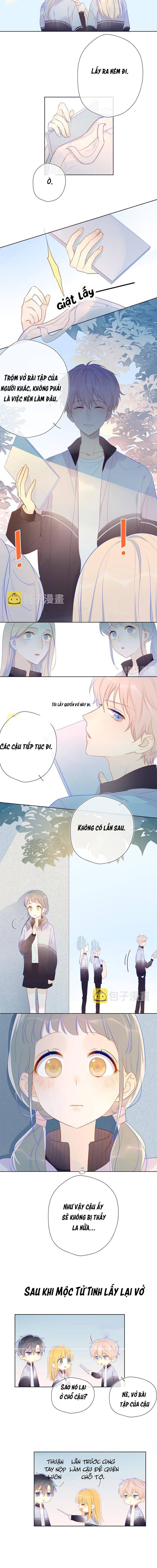 NGÔI SAO MAY MẮN DÀNH CHO TÔI: Chapter 12