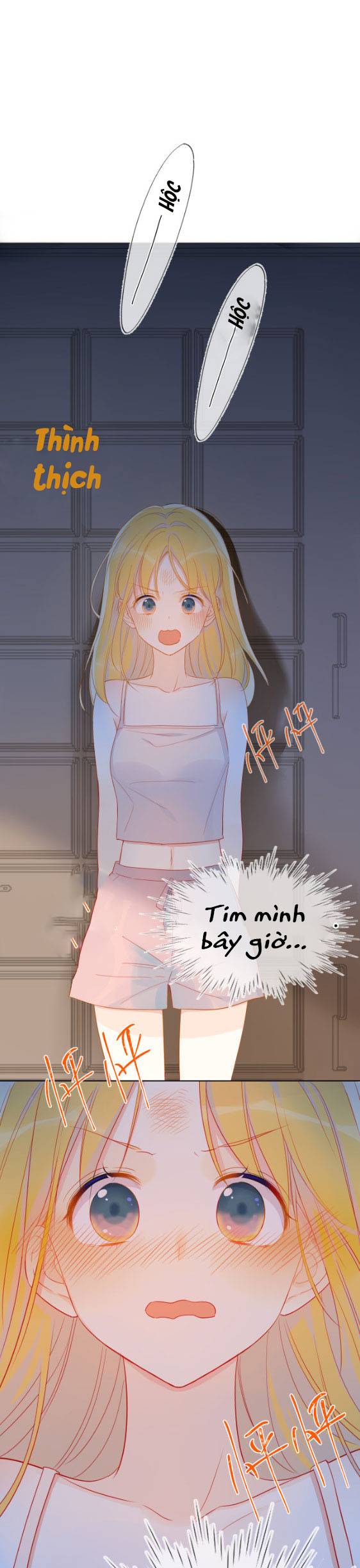 NGÔI SAO MAY MẮN DÀNH CHO TÔI: Chapter 5