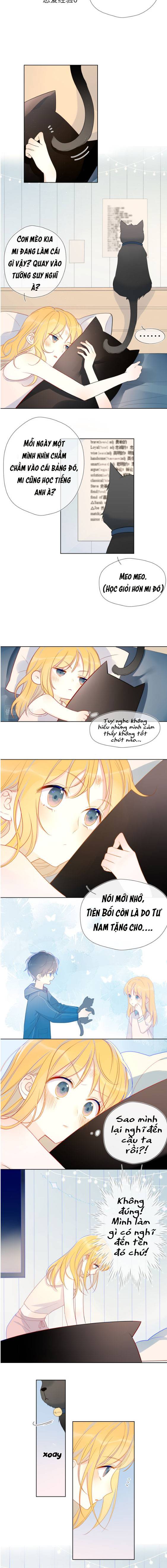NGÔI SAO MAY MẮN DÀNH CHO TÔI: Chapter 7