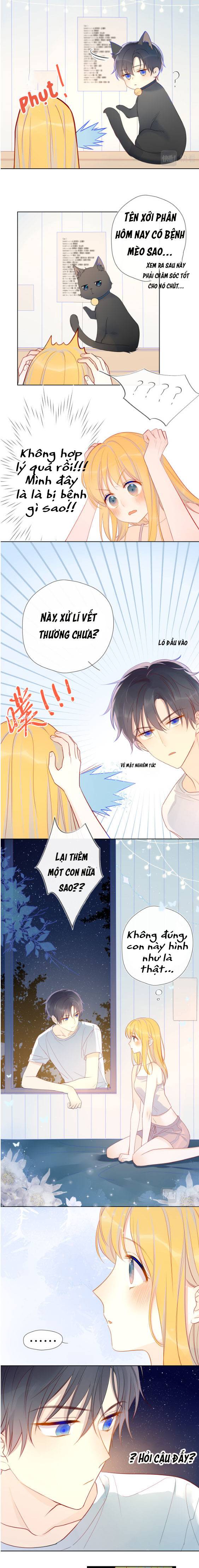 NGÔI SAO MAY MẮN DÀNH CHO TÔI: Chapter 7