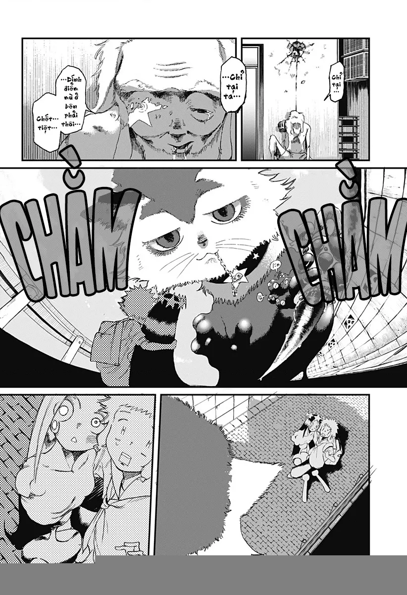 Ngôi sao tương giao: Chapter 6