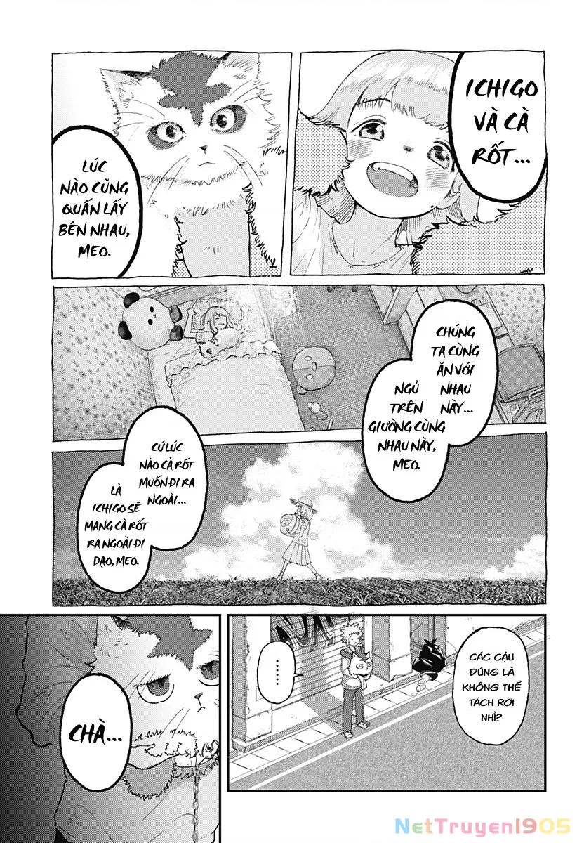 Ngôi sao tương giao: Chapter 8