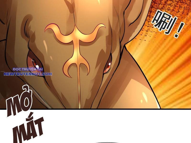 Ngủ Say Vạn Cổ: Xuất Thế Quét Ngang Chư Thiên: Chapter 11