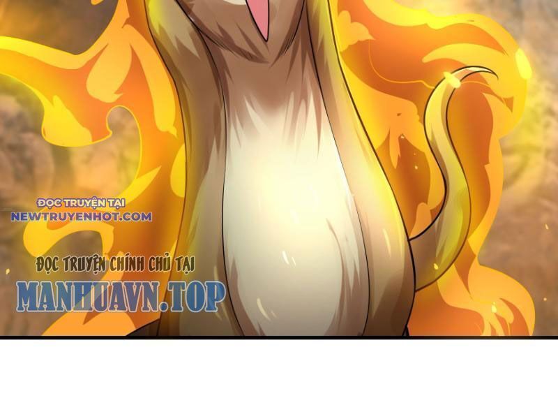 Ngủ Say Vạn Cổ: Xuất Thế Quét Ngang Chư Thiên: Chapter 11
