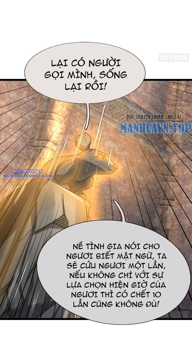 Ngủ Say Vạn Cổ: Xuất Thế Quét Ngang Chư Thiên: Chapter 13
