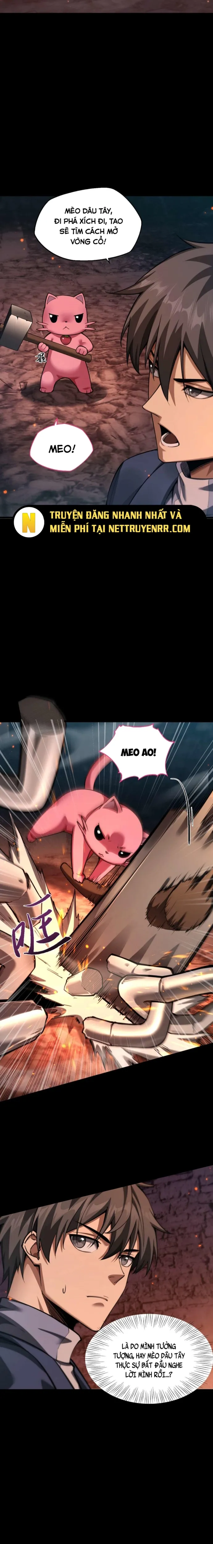Ngự Thú: Ta Có Thế Thấy Toàn Bộ Chi Tiết Tiến Hóa: Chapter 5