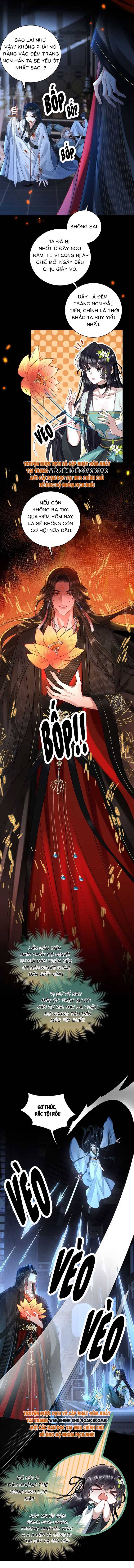 Nguyện Dâng Thân Cá Mặn Này Cho Sư Tổ: Chapter 11