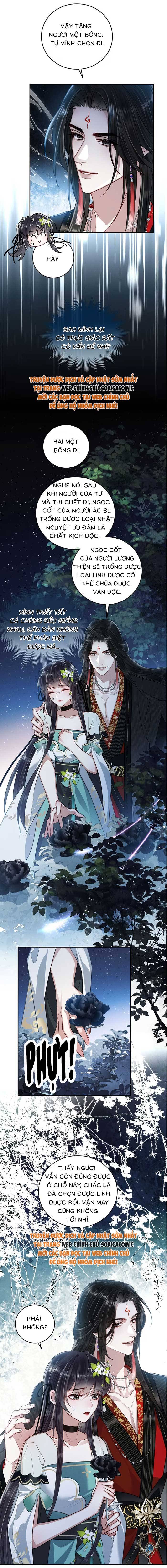 Nguyện Dâng Thân Cá Mặn Này Cho Sư Tổ: Chapter 15