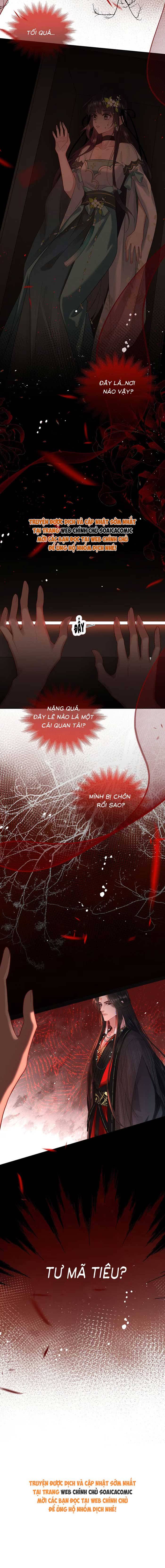 Nguyện Dâng Thân Cá Mặn Này Cho Sư Tổ: Chapter 16