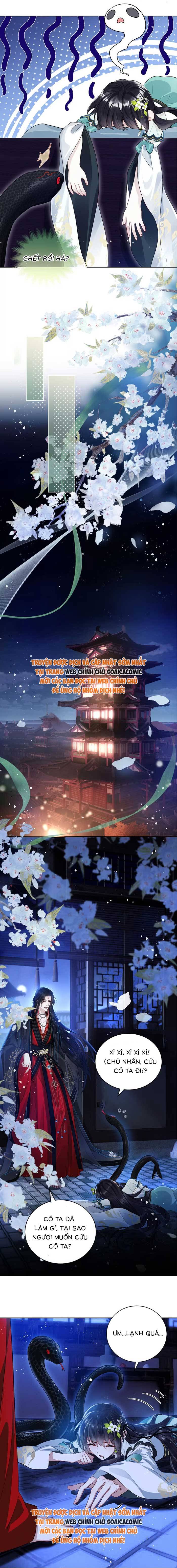 Nguyện Dâng Thân Cá Mặn Này Cho Sư Tổ: Chapter 5