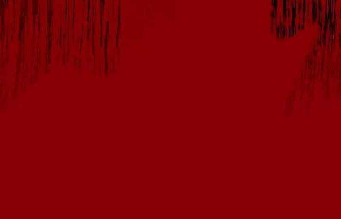 Nhật Hành Nhân: Chapter 17