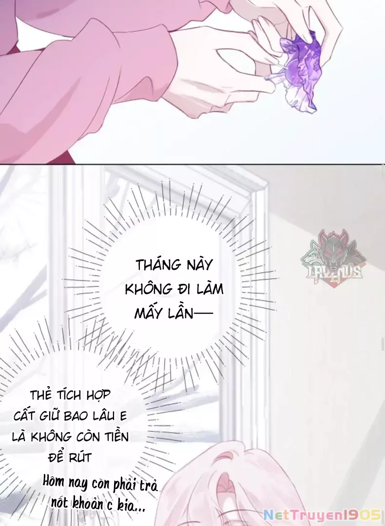 Nhịp Đập Cảm Xúc: Chapter 3