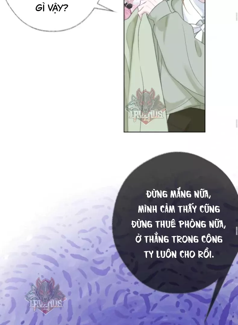 Nhịp Đập Cảm Xúc: Chapter 3