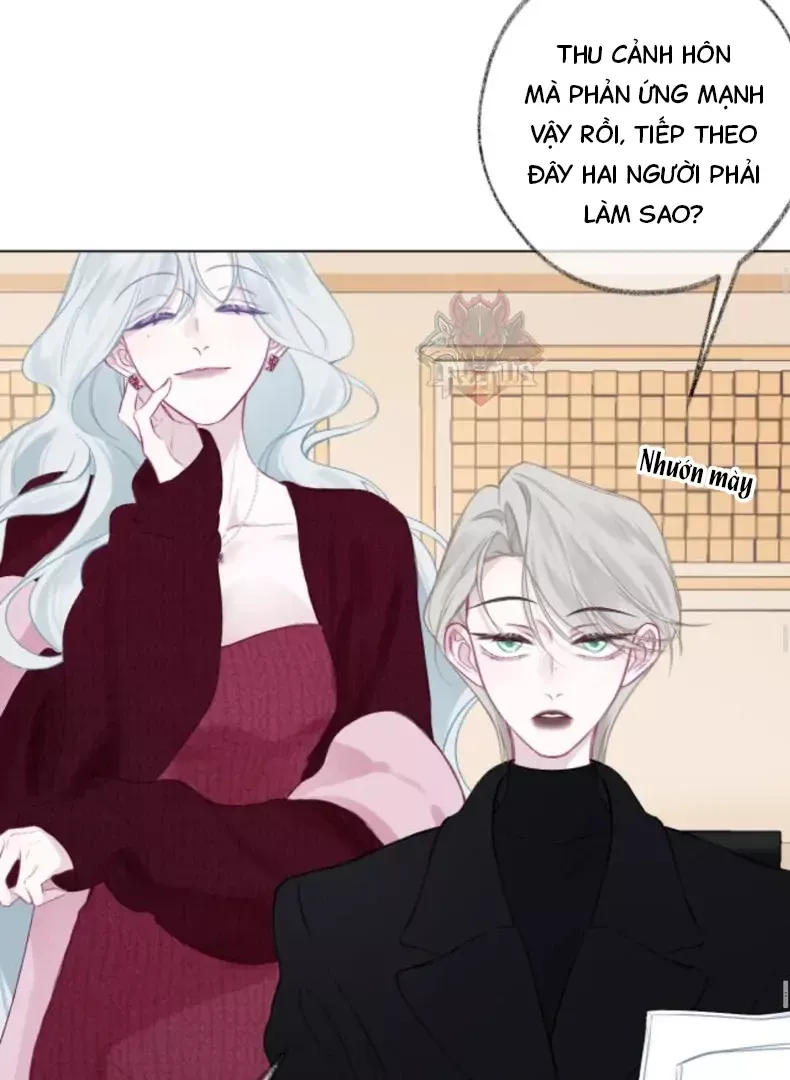 Nhịp Đập Cảm Xúc: Chapter 4