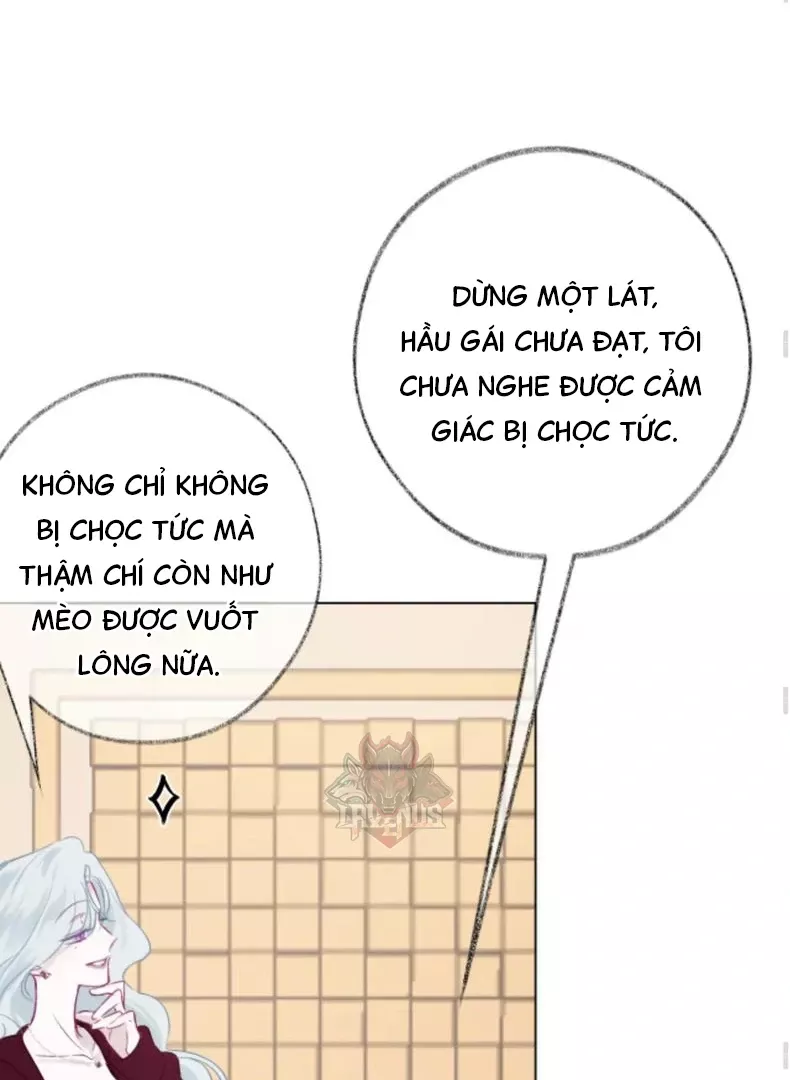 Nhịp Đập Cảm Xúc: Chapter 4