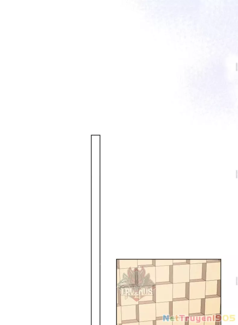 Nhịp Đập Cảm Xúc: Chapter 4