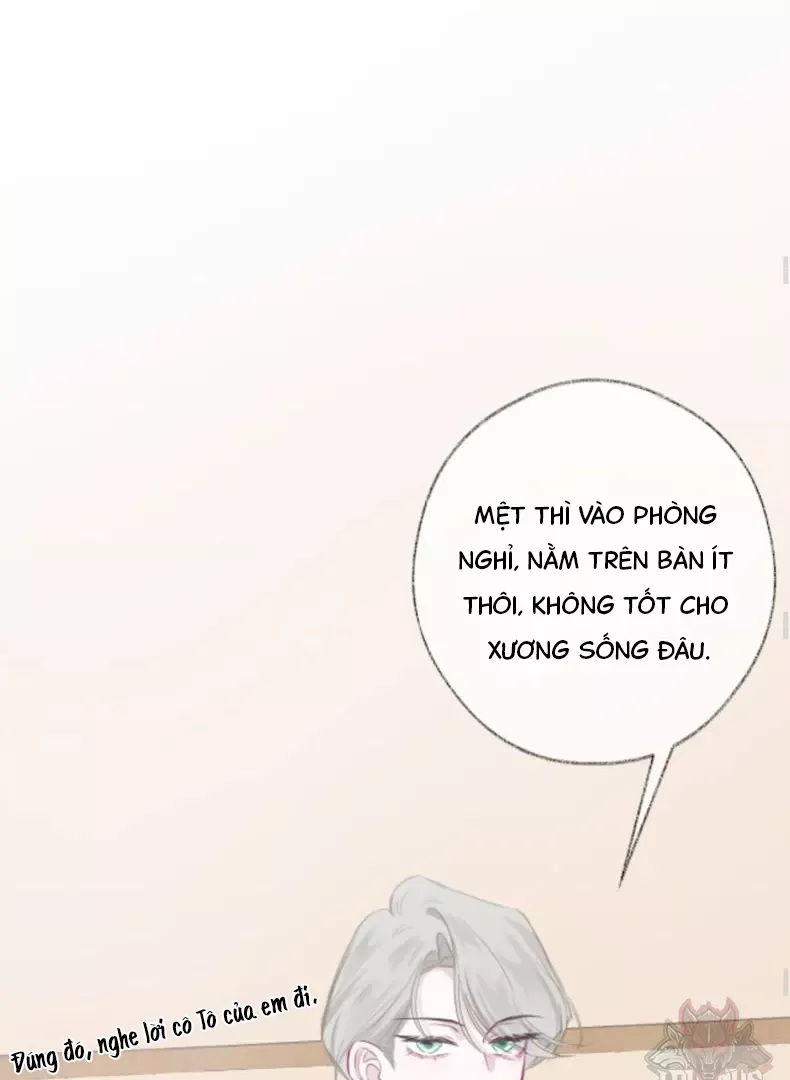 Nhịp Đập Cảm Xúc: Chapter 4
