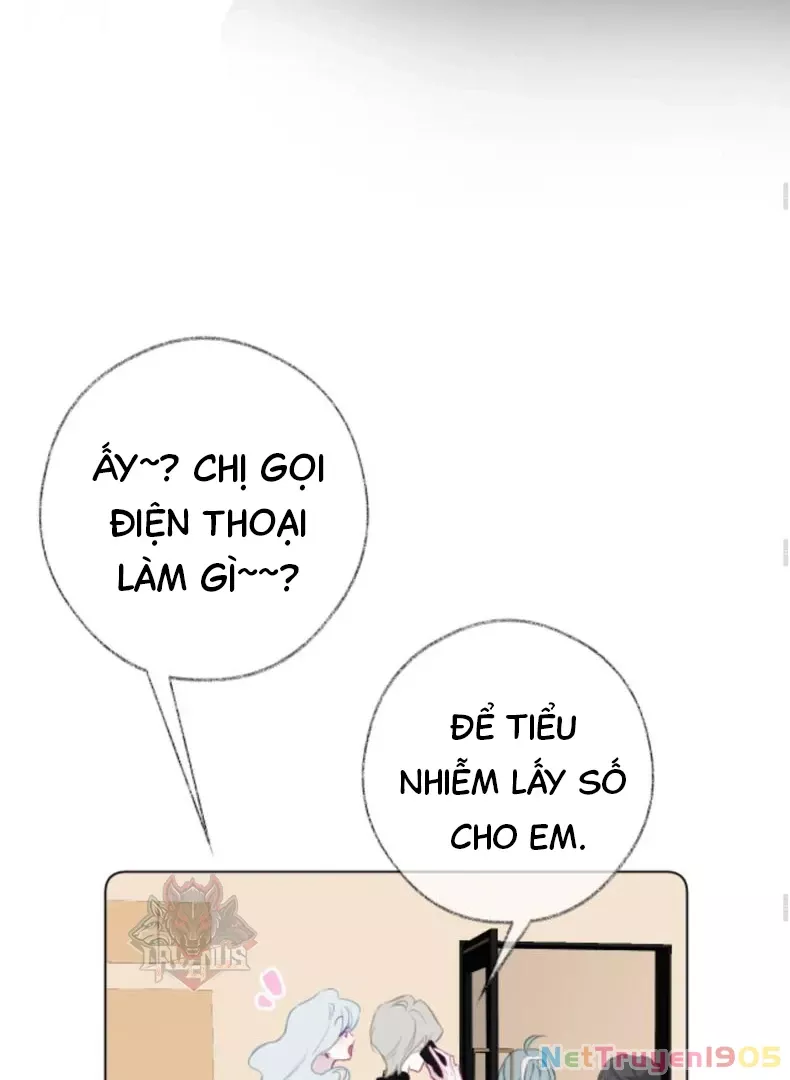 Nhịp Đập Cảm Xúc: Chapter 4