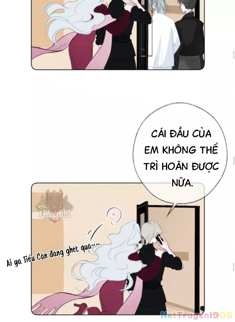 Nhịp Đập Cảm Xúc: Chapter 4