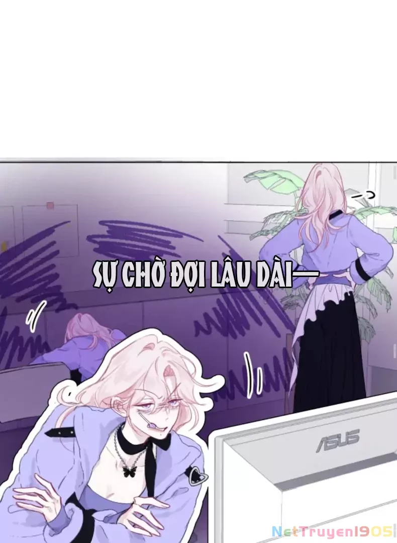Nhịp Đập Cảm Xúc: Chapter 5