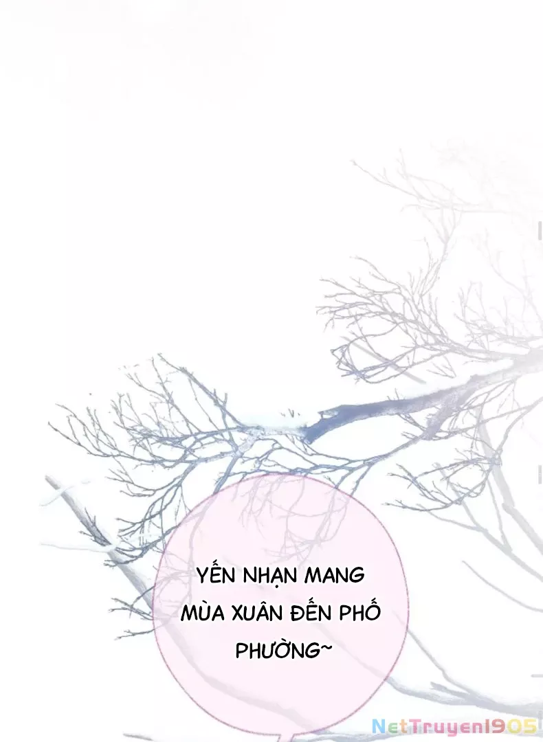 Nhịp Đập Cảm Xúc: Chapter 5