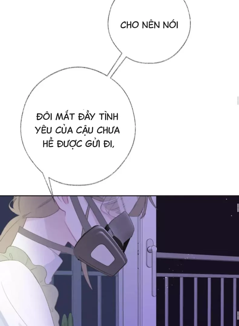 Nhịp Đập Cảm Xúc: Chapter 5