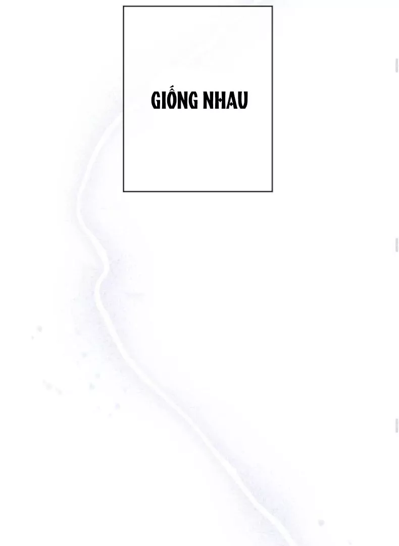 Nhịp Đập Cảm Xúc: Chapter 6