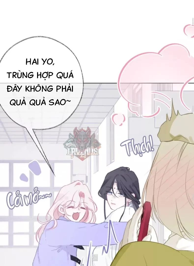 Nhịp Đập Cảm Xúc: Chapter 7