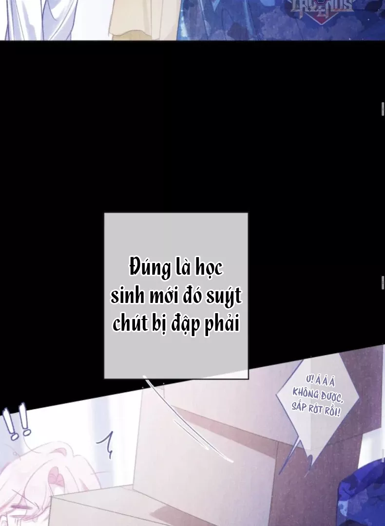 Nhịp Đập Cảm Xúc: Chapter 7