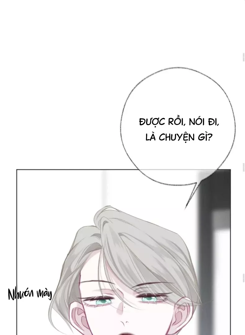 Nhịp Đập Cảm Xúc: Chapter 8