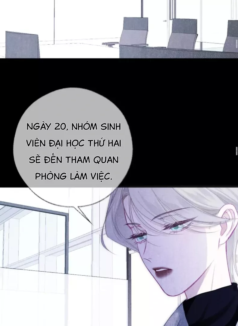Nhịp Đập Cảm Xúc: Chapter 8