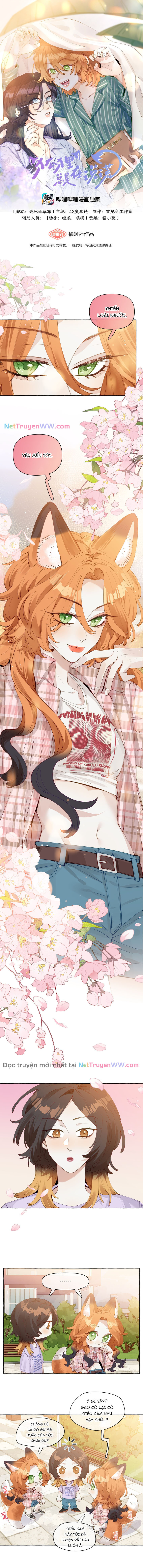 Những Lời Nói Dối Của Hồ Ly: Chapter 11