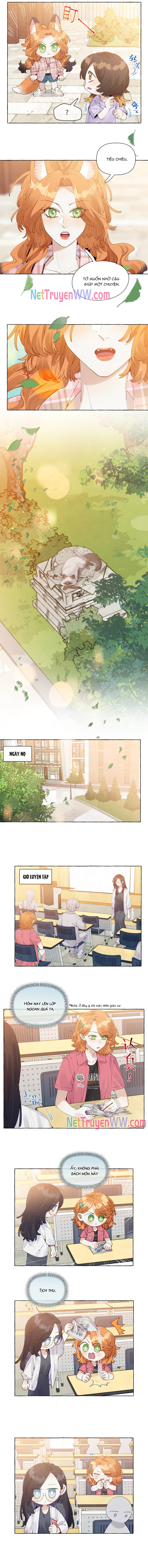 Những Lời Nói Dối Của Hồ Ly: Chapter 12