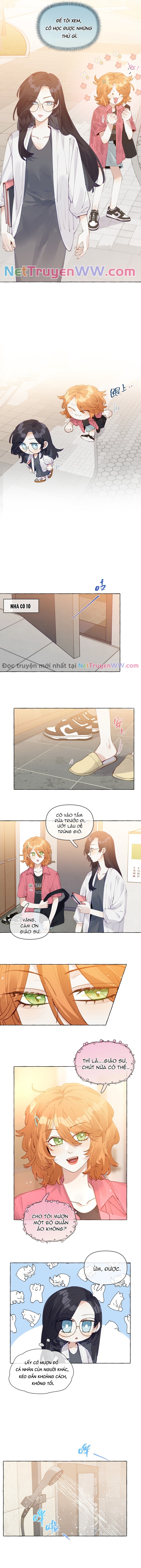 Những Lời Nói Dối Của Hồ Ly: Chapter 13