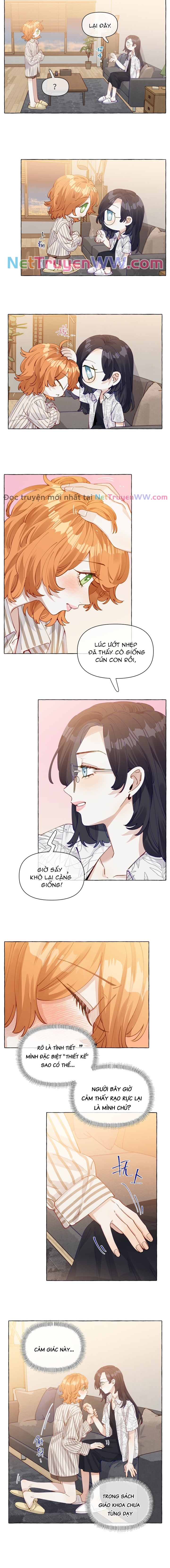 Những Lời Nói Dối Của Hồ Ly: Chapter 13