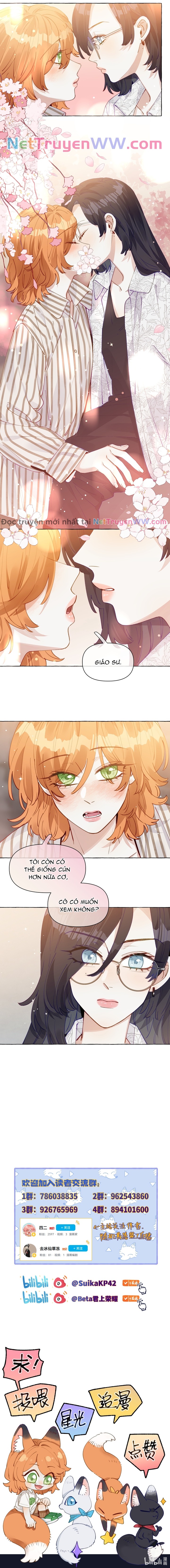 Những Lời Nói Dối Của Hồ Ly: Chapter 13