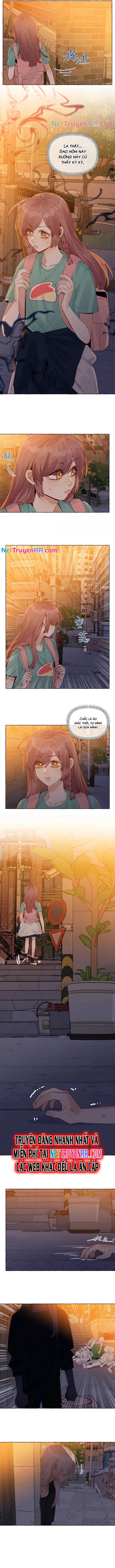 Những Lời Nói Dối Của Hồ Ly: Chapter 18