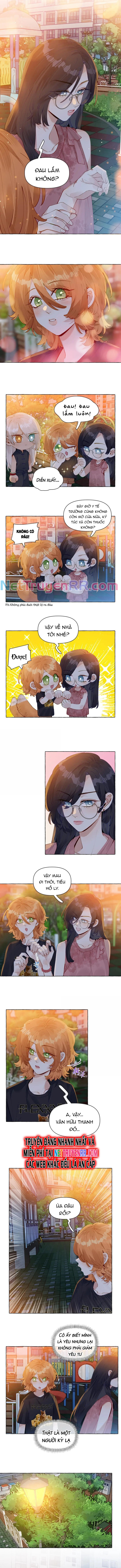 Những Lời Nói Dối Của Hồ Ly: Chapter 22